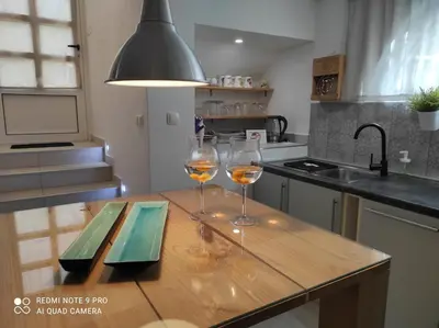 Kuhinja ili čajna kuhinja u objektu Apartments with parking space Pirovac, Sibenik - 22567
