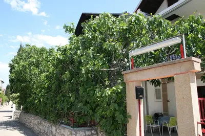 Tlocrt objekta Apartments with parking space Vodice - 12721