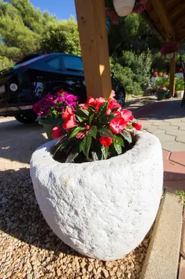 Vrt u objektu Apartment Apartmani Vesna Grebaštica by Interhome