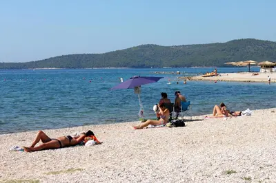 Priroda u blizini apartmana