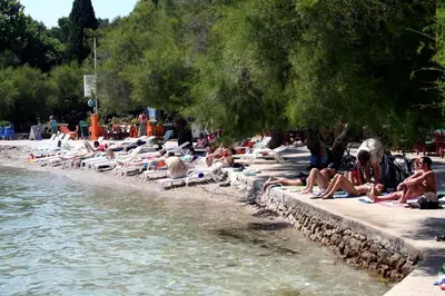 Tlocrt objekta Family friendly apartments with a swimming pool Vodice - 4235