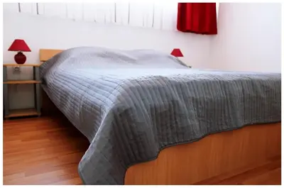 Tlocrt objekta Apartment Razanj 11347c
