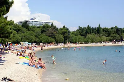 Priroda u blizini vikendica