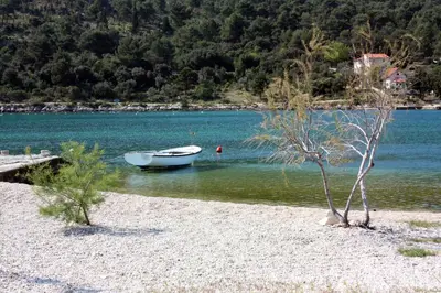 Priroda u blizini apartmana
